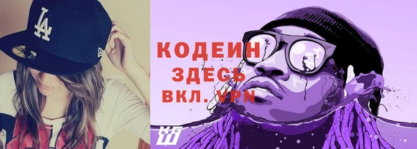 шишки Верея