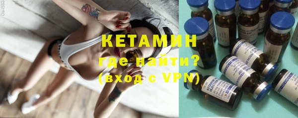 шишки Верея