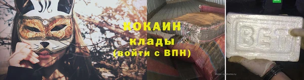шишки Верея