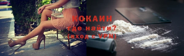 шишки Верея