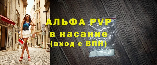 шишки Верея