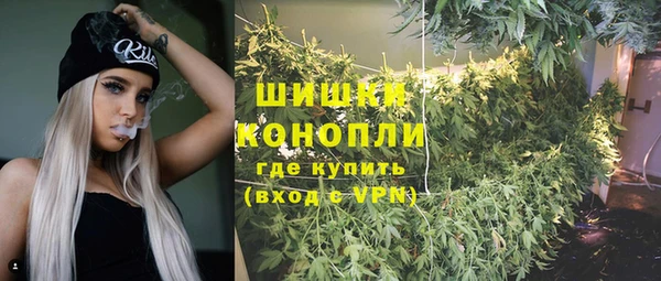 шишки Верея