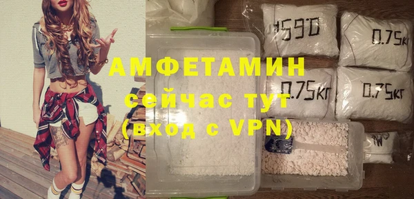 шишки Верея