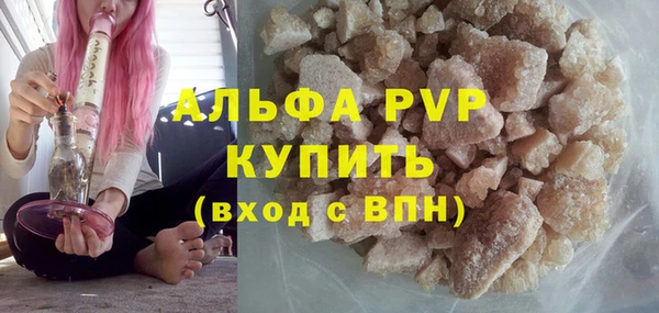 шишки Верея