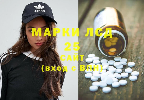 шишки Верея