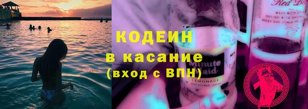 шишки Верея