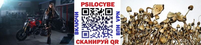 Галлюциногенные грибы мухоморы Талица